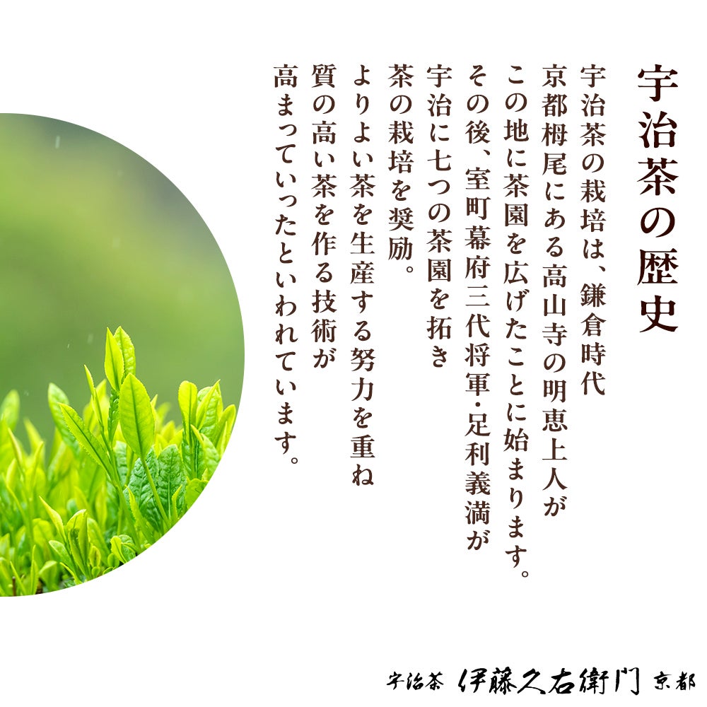 高級玉露 宇治のしらべ 40g袋入 § 091203 | 伊藤久右衛門 公式