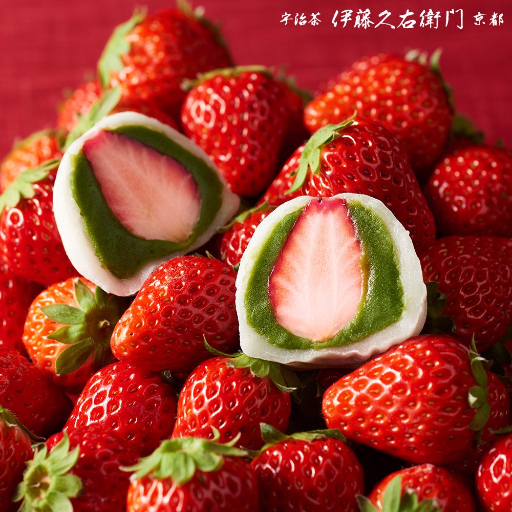母の日巾着入】いちご抹茶だいふく 6個入【送料込み】≪2026母の日