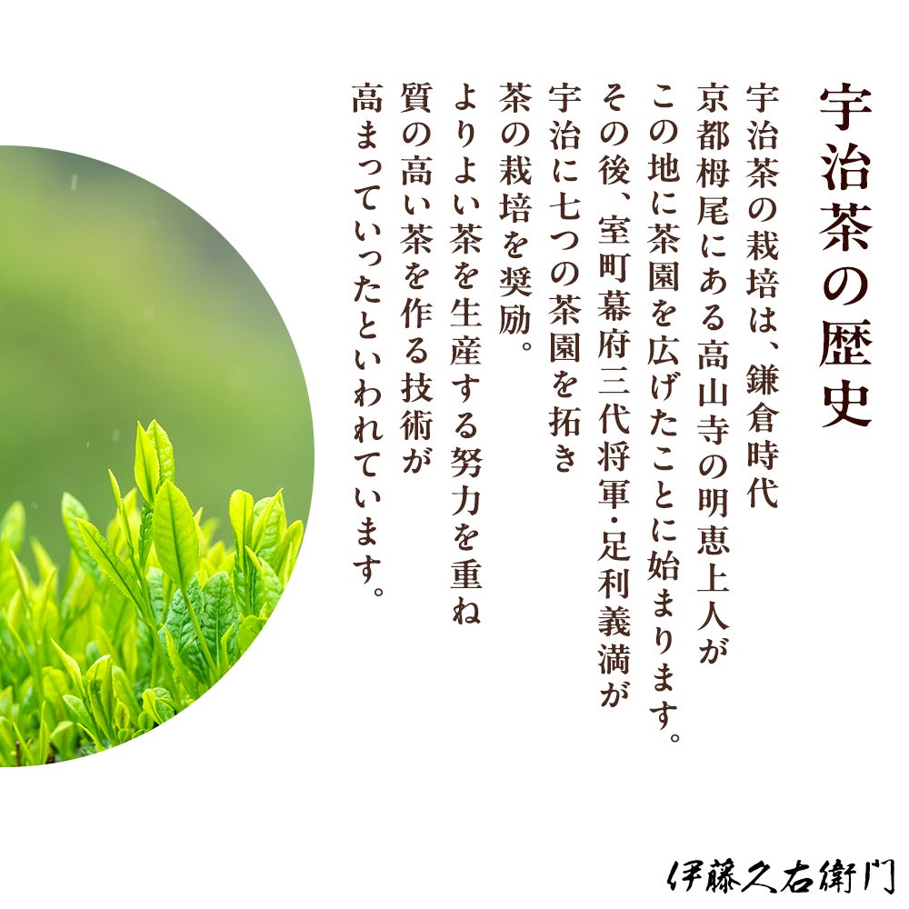 銘茶セット C-B（甘露80g・香風85g）【送料無料】 § お供え 宇治茶