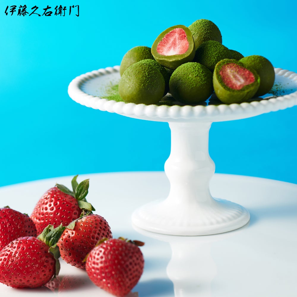 宇治抹茶いちごチョコレートトリュフ お茶苺さん 70g【翌日お届け可