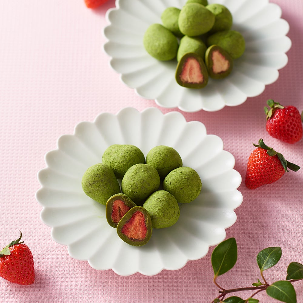 宇治抹茶いちごチョコレートトリュフ お茶苺さん 70g【翌日お届け可