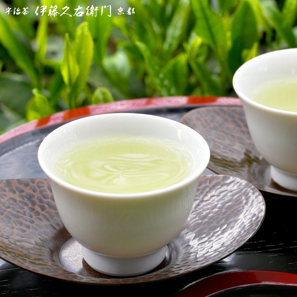 完売】宇治新茶 初摘み 40g袋入 § 2026年度産宇治新茶 令和八年 期間