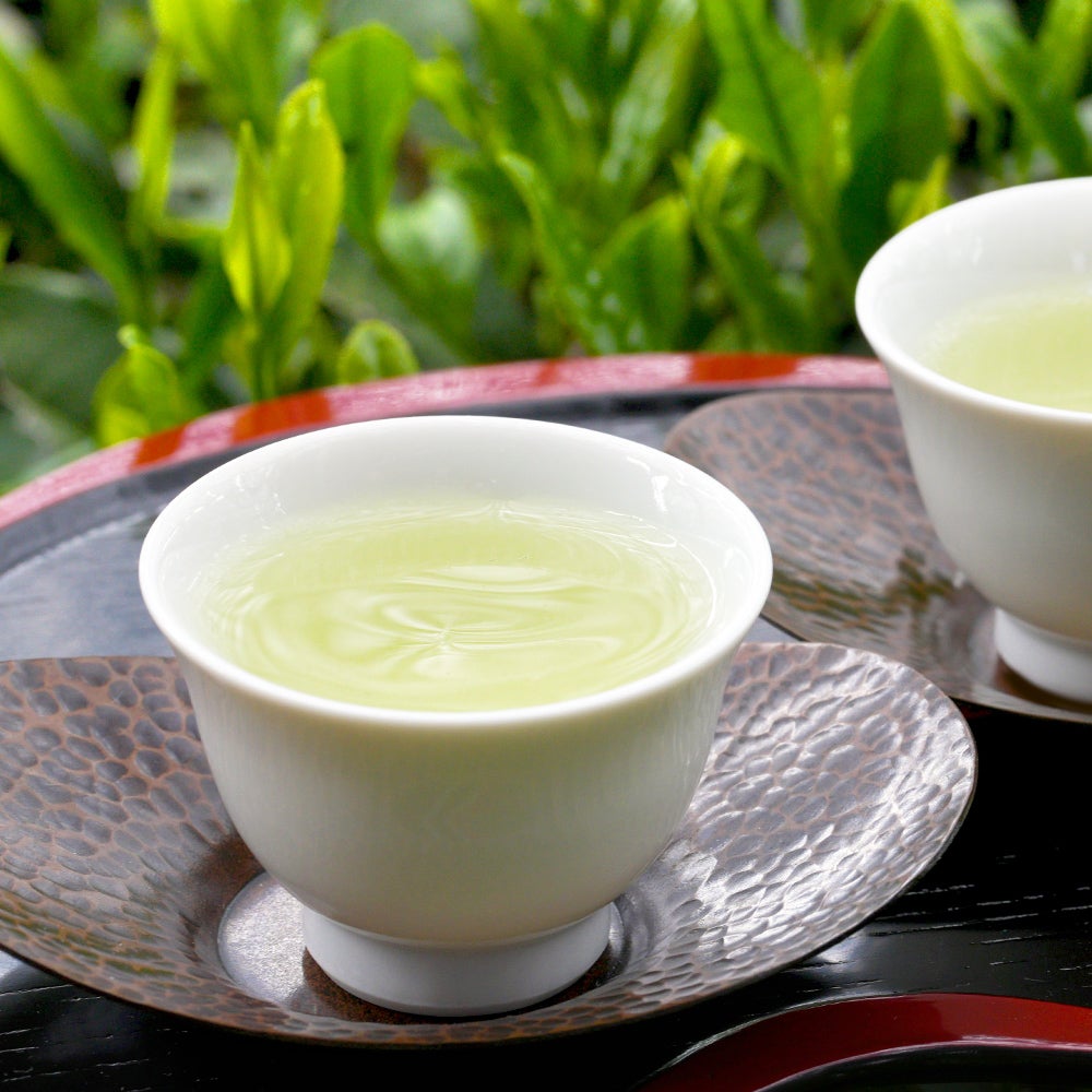 宇治新茶 初摘み 40g袋