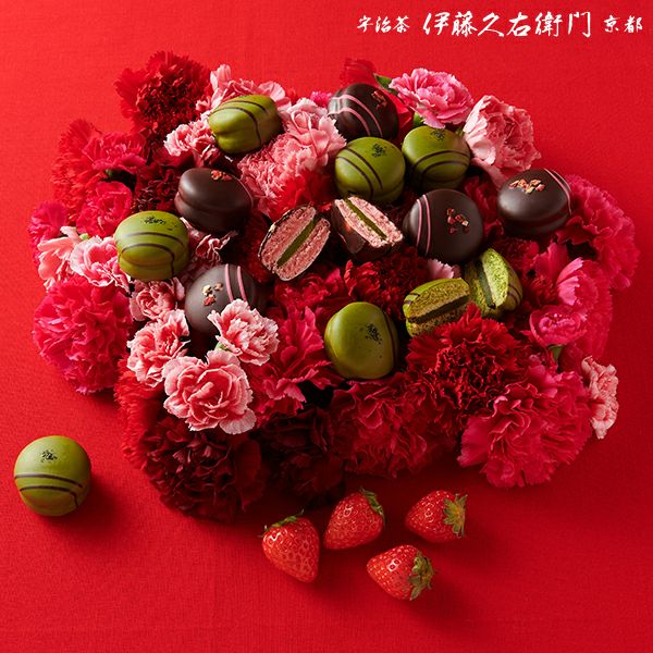 ショコラマカロン（抹茶・いちご抹茶）8個入（2個×4箱）≪2026