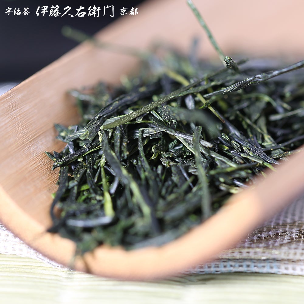 宇治新茶 初摘み 85g缶入 S-A ≪2026母の日ギフト≫ § 2026年度産宇治
